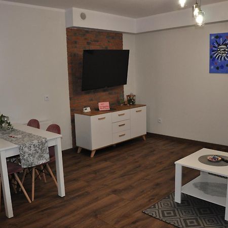 Malinowka Izerska II Apartment Swieradow-Zdroj Bagian luar foto